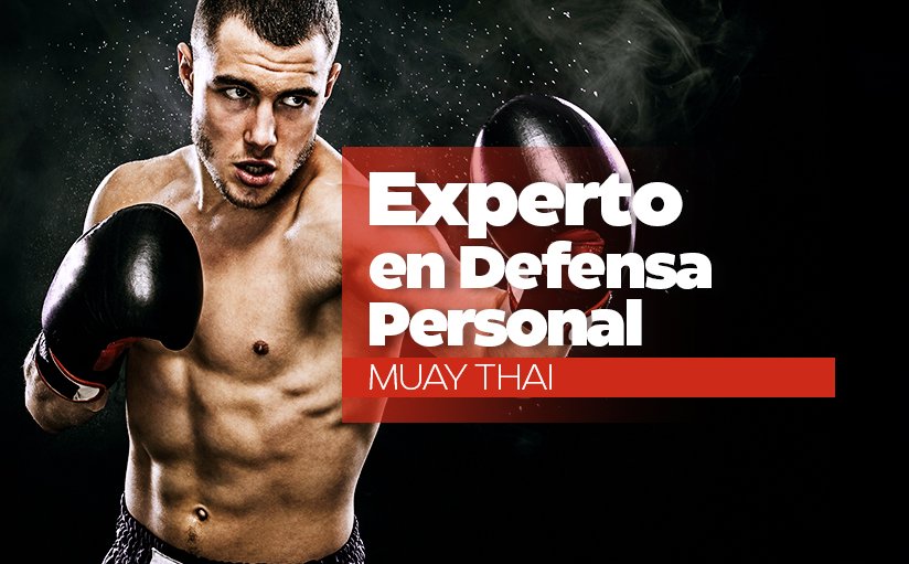 Experto en Defensa Personal, Muay Thai